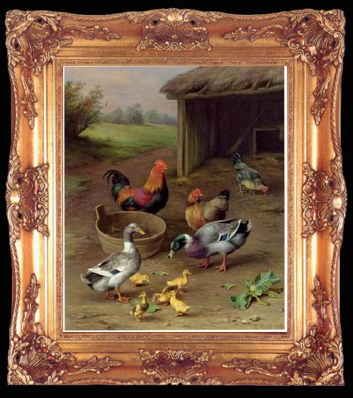 framed  unknow artist poultry  147, Ta009
